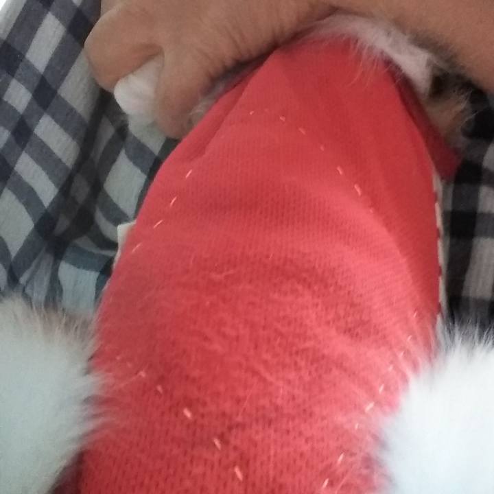 0584673b 6997 4234 a86f c0db3b420f58 1634785867969