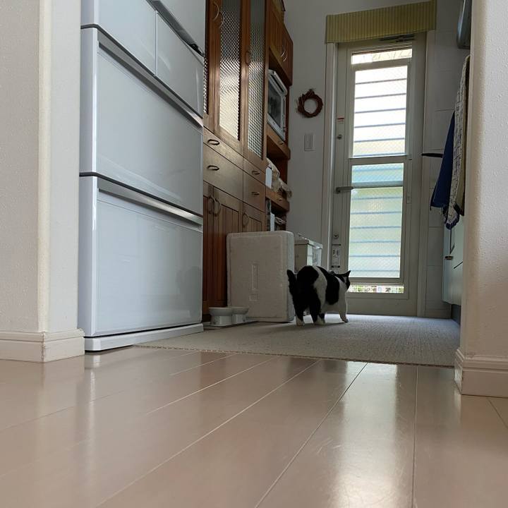 058470c1 00cf 4baf a951 be64101ca09f 1774658057669