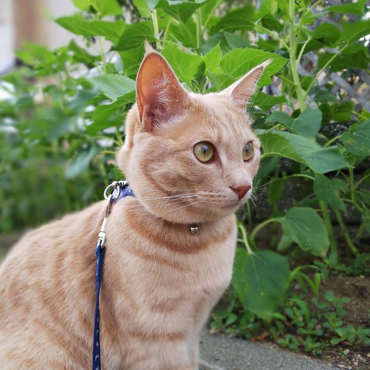 0584b302 a135 4942 ab93 f0e911bf3212 1566186580857