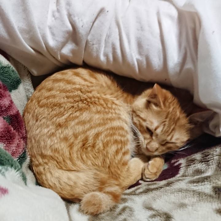 0584c002 806a 4140 a64a 169cce314174 1644239787913