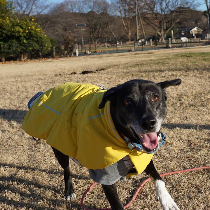 0584e419 e961 4fed 9ce9 7a074f3a6912 1766968905316