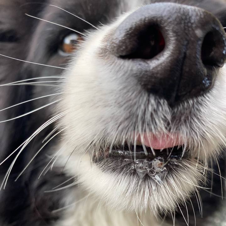 05853d6a 3f58 4043 a5d8 9a58962de551 1665375722341