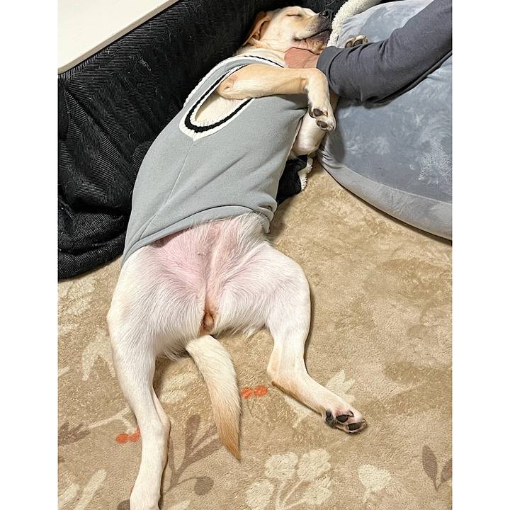 05855819 5d22 461d 9f80 d55a549163d0 1641899712169