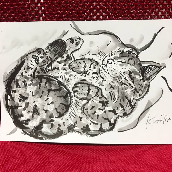 05855e7b 1271 4367 b192 f6b401fe24f0 1541858634181