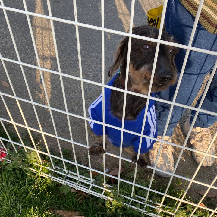 058596b4 87ad 4f2b a007 7ae1f963775f 1580636074451