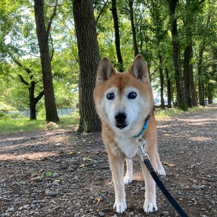 0585b83b b871 4c80 aee8 4c4b7e75ead6 1753421479022