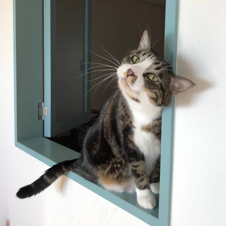 0585d3a4 076f 447b a733 4d440a6f8c48 1573349052882