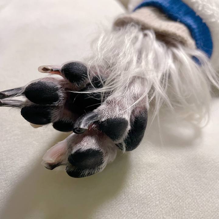 0585edc1 8108 4082 8979 8c5e1050c613 1764390139897