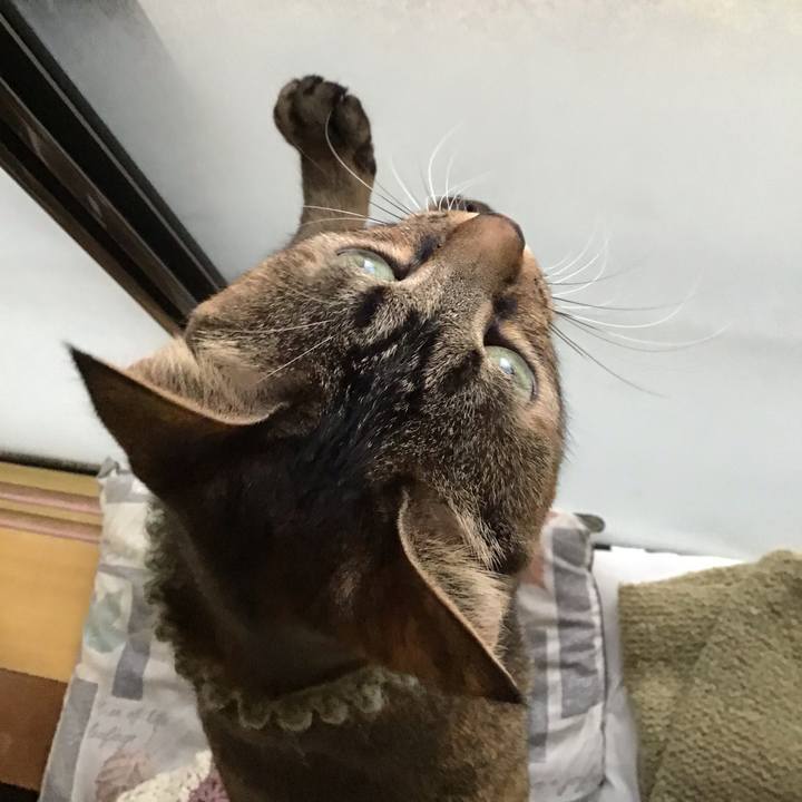 0585f593 e0d2 4f75 a654 d9abf7689165 1640918013828