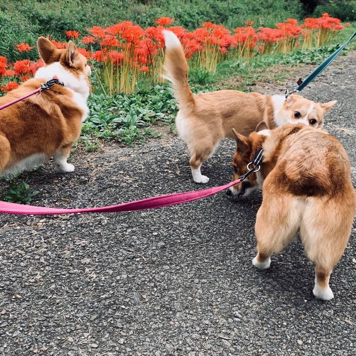 05862c00 adbe 43b8 b0fe 48a0851a7ead 1569455256535