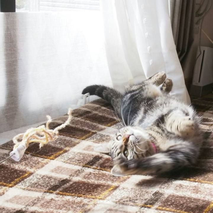 05864990 3568 439b 80dd ea0db02c2000 1520480302491