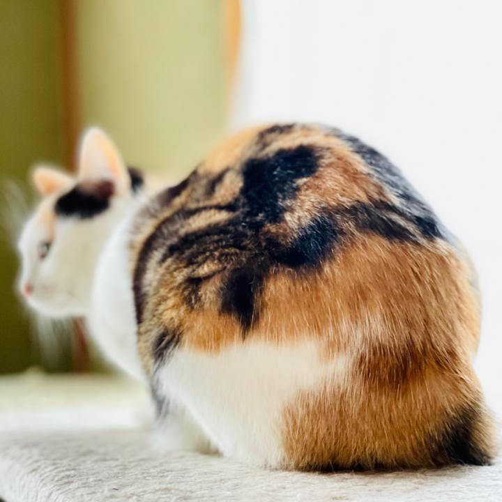 05864a8a d263 4dcf 9202 2731388635bd 1604888005382