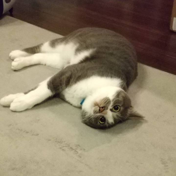 05864ab9 06e6 473b 8cb5 655f167150f1 1628430714334