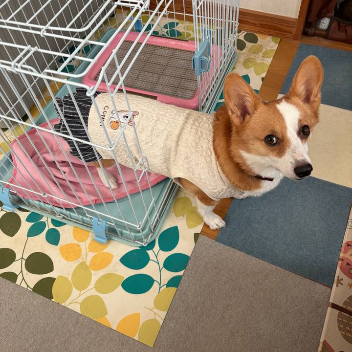 0586596d a656 4028 81b1 42a7c6ba1590 1763707783787