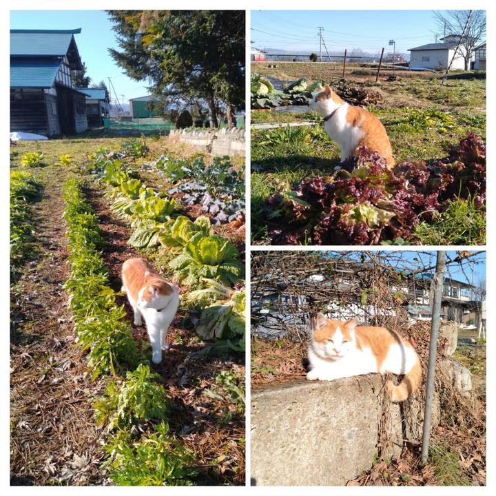 0586880b eac0 41c8 bd82 d8bff6493f2a 1765429176278