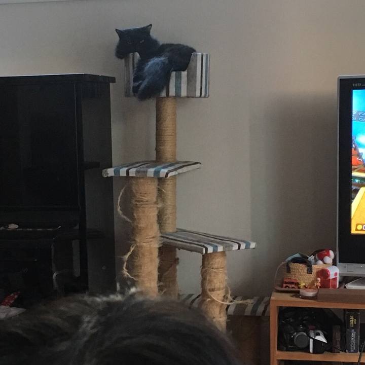 0586d65c aed4 49bf 9fb5 8d97e239be05 1564410995027