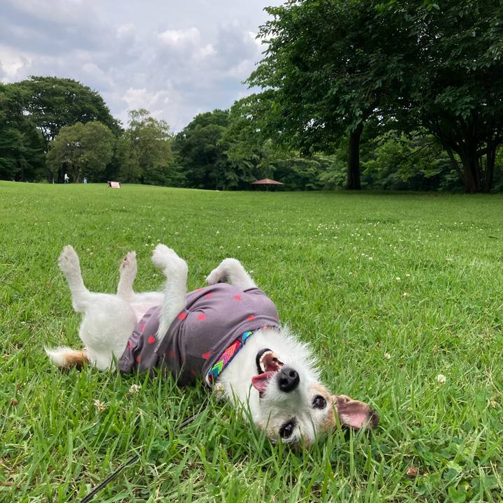 0586df5e 909f 41b8 b2c3 754ad2dbd6d7 1687651580394