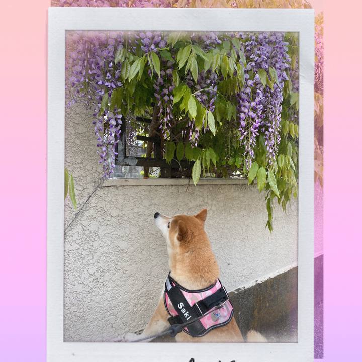 0586e58d d949 49bc 9cde be4024570afe 1650346043667