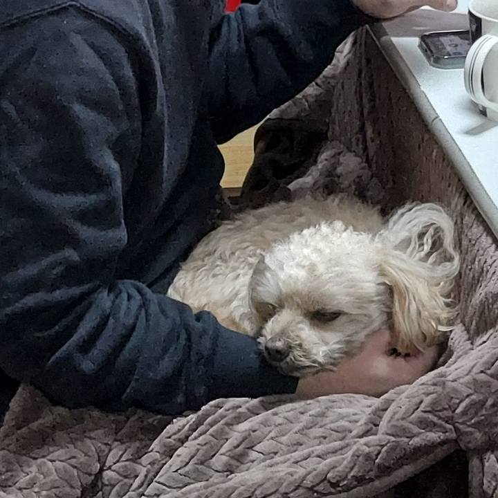 05870def ebbf 4445 a87d fc17466b550e 1735632338331