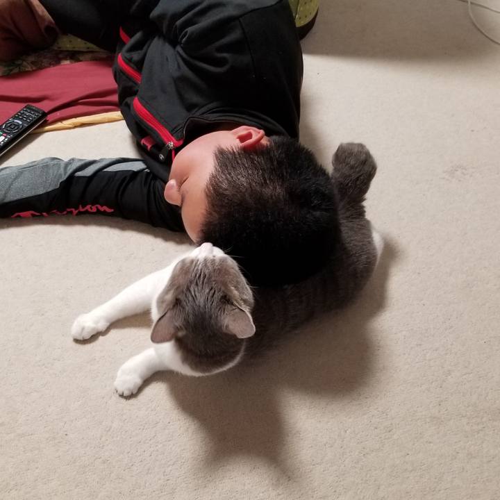 05871c8b 3a12 4ffd b261 b2d65fcf27f5 1588345446647