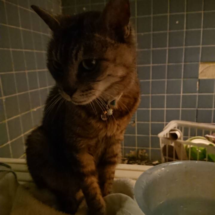 0587222b 9402 4aac b5a1 e5666ab06c84 1565952229012