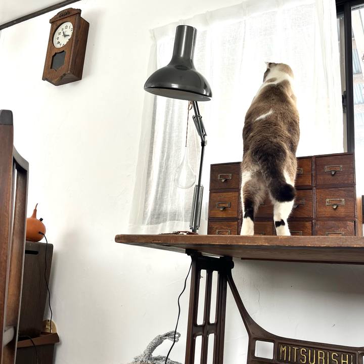 058741c8 b60e 4836 b37a 15218e8b0e08 1771847675276