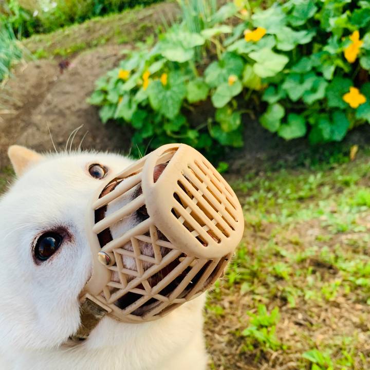 0587a41d 5daf 40a5 8c53 d5df81427af0 1597265790244