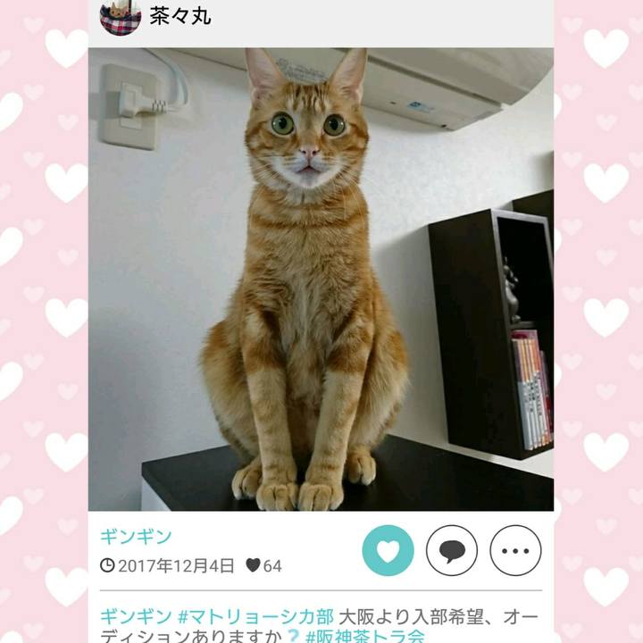 0587ea01 c65e 4e1a a514 652328124476 1540447309998