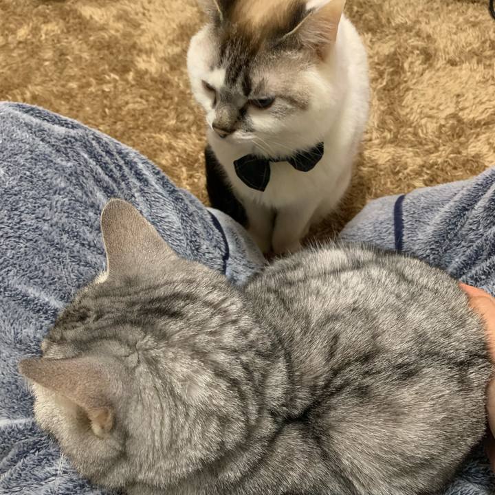 058805bf 7c39 47ec bea5 8a0e6027d930 1585214068510