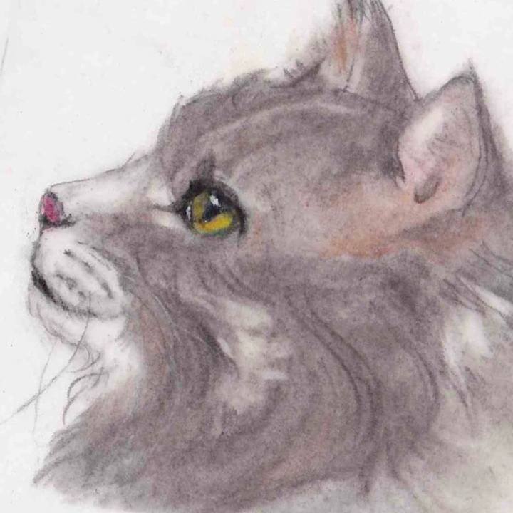 0588213a d5a0 44ea bce4 f938d64c6d4c 1660283117145