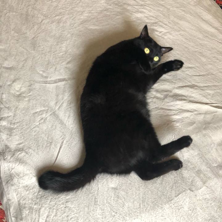 058866b4 8841 45a2 a6d4 ff117d7387b5 1559372116909