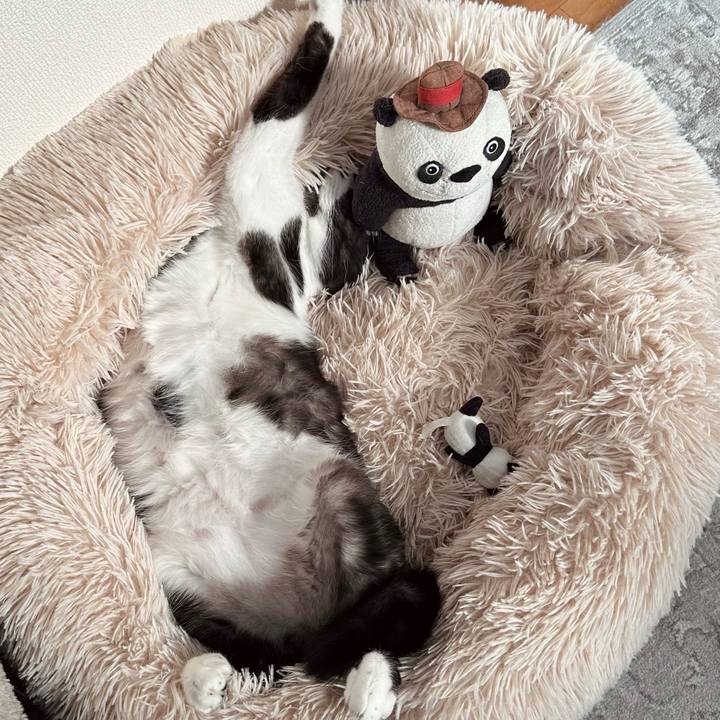 0588bfd4 79e1 4047 9f39 d2443e263681 1771571432054