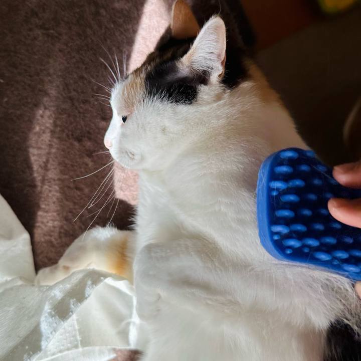 05894301 a6cf 474c b0b9 575fca009b81 1682213616440