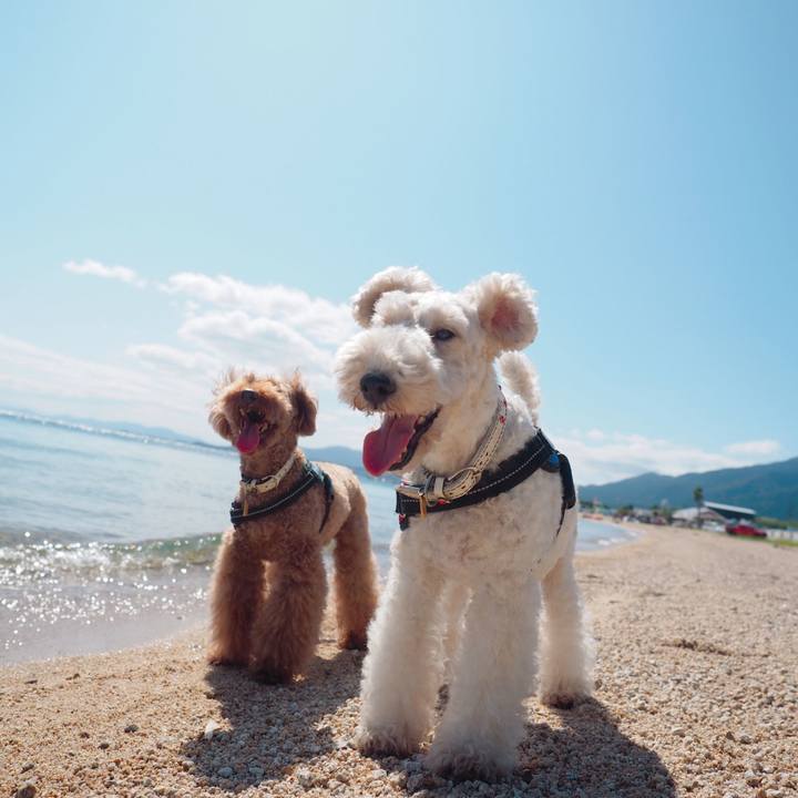 05895810 2ef0 4617 b94d 56f764eaa792 1570359991143