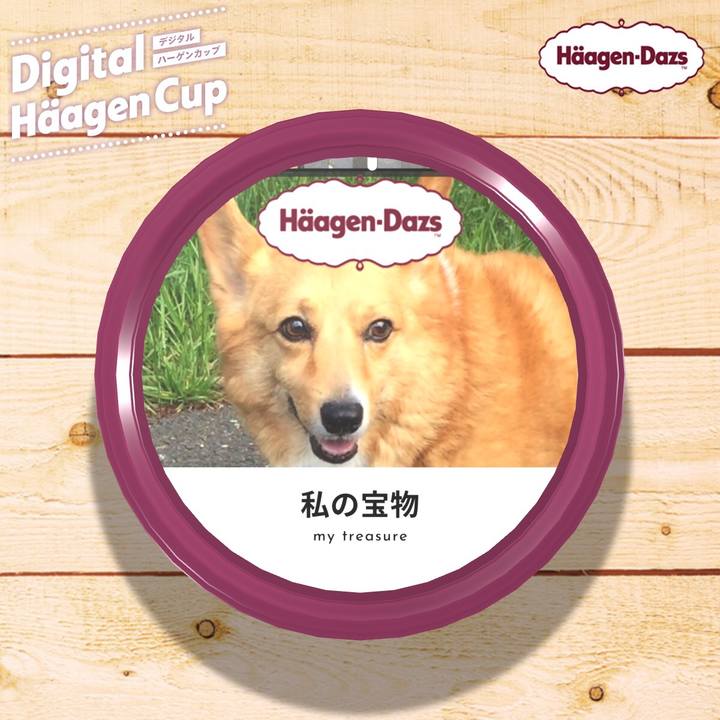 0589759b cf00 482b bccf a5f2b56210ce 1608257229634