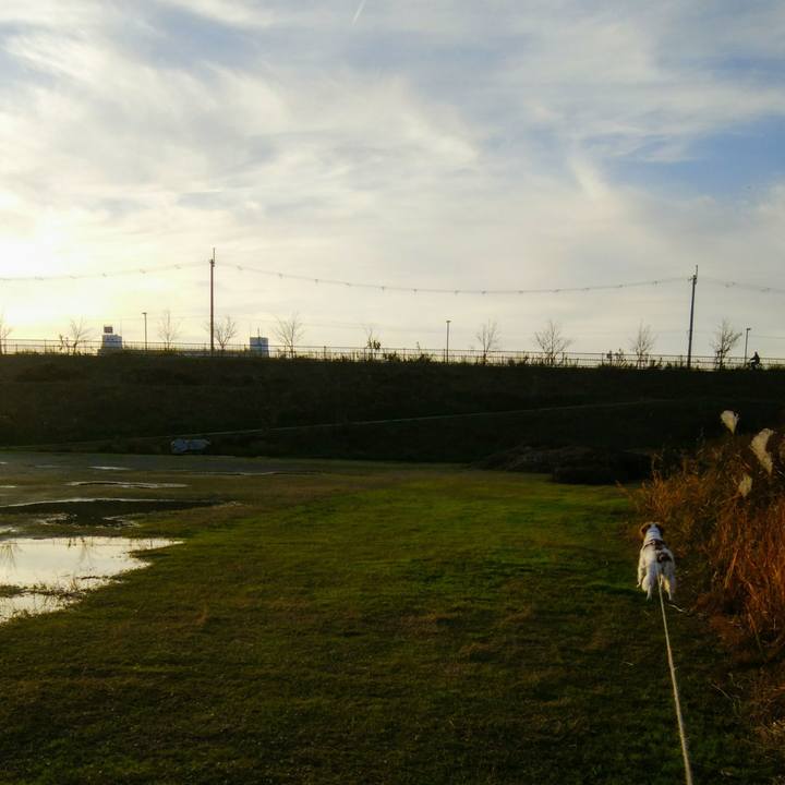 05897cff 8d94 4556 82bb 9a6073183088 1544007816028