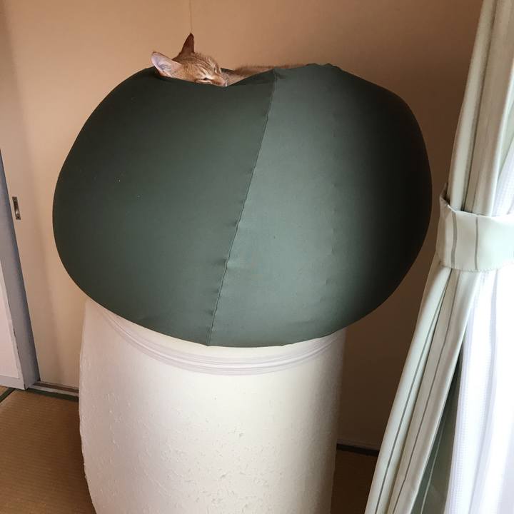 05898af7 fe64 4195 9fb2 89b221e2ae74 1543283490180