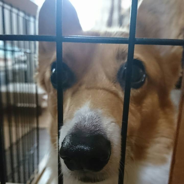 05899dc4 d120 4c2d aa14 be564483ebb4 1543482826311