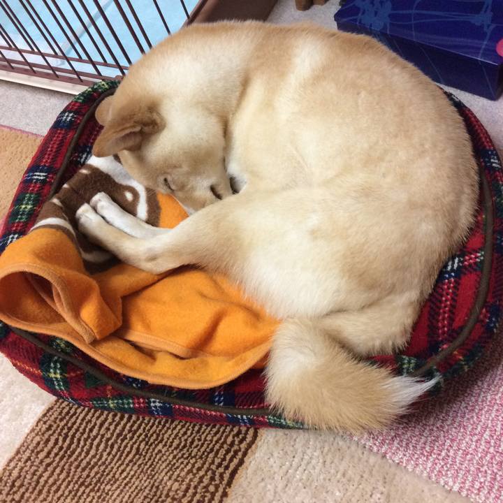 05899f68 3efb 4c17 81a4 914f0a38fc8f 1511267548258