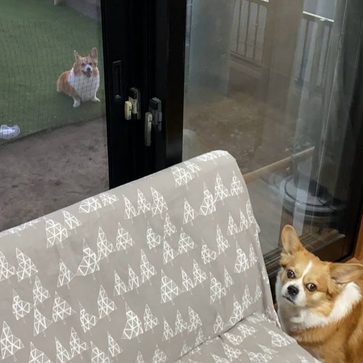 058a044c 7a22 4698 9bbf c2fa520d71bc 1766140316901