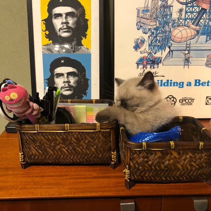 058a09cf 542a 47b4 aa21 5dd960ef766a 1586261171759