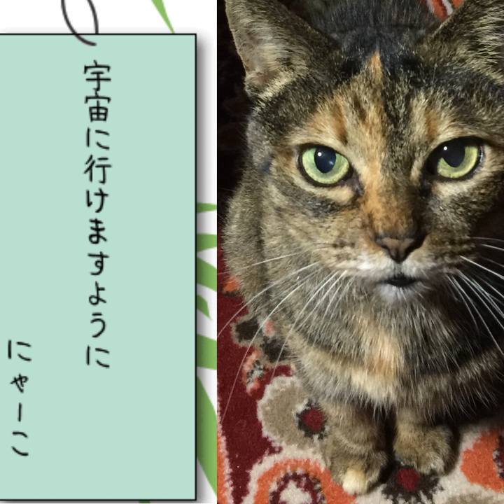 058a379d 91cb 4616 a8ac c11e606e95c0 1751014503218