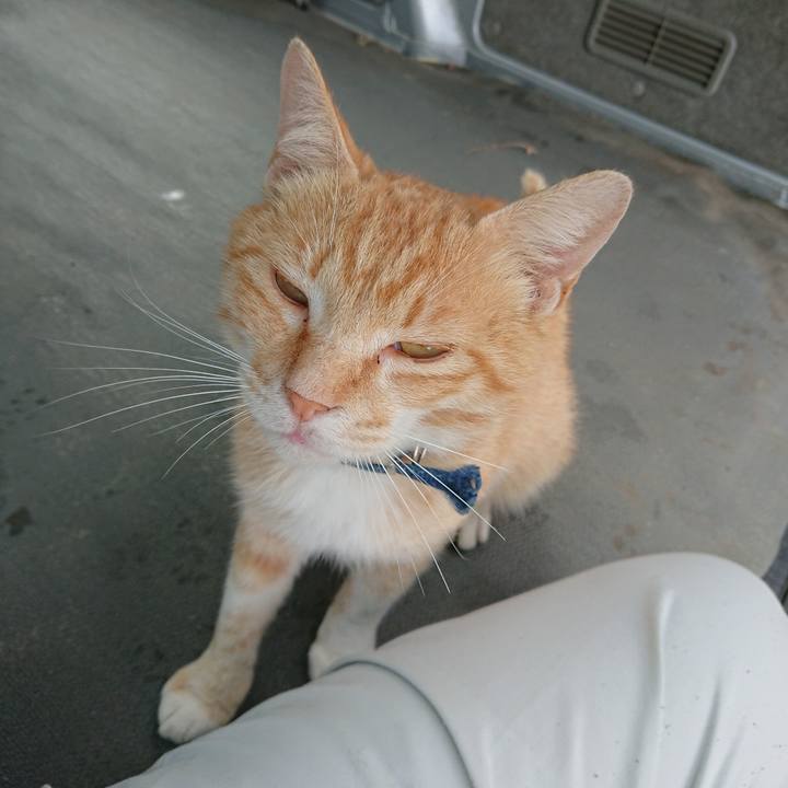 058a4072 d151 4b0e 83d8 5612cb2ddc6c 1559981576899