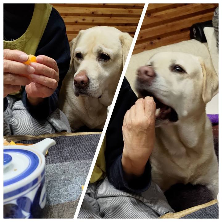 058a4130 e87f 4644 b305 d5e99c0ed694 1700785918659