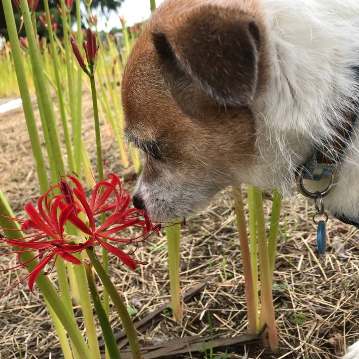 058a80cb 8ffd 4ae3 8e3e d0cf306acad4 1601352310607