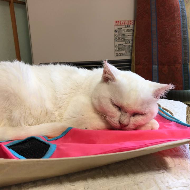 058abc31 c789 4f96 84cc 83a98880edba 1534046789264