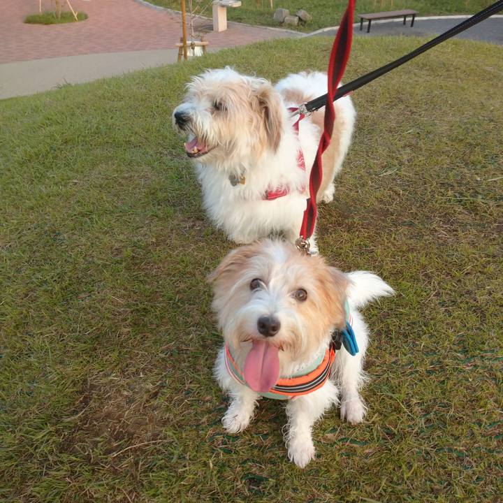 058b3596 a5cb 4920 9779 60ba2e62ebab 1757456234342