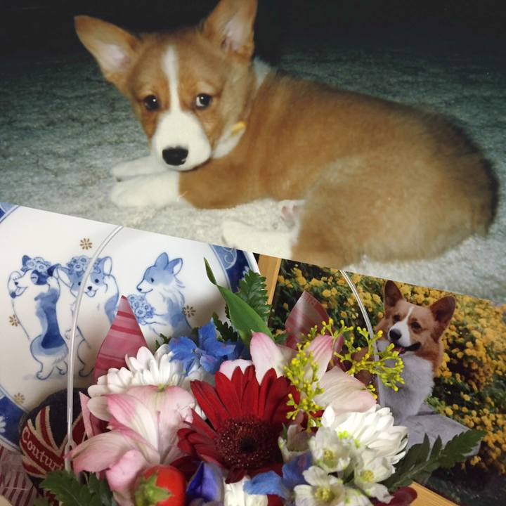 058b7d3c 2e93 4156 af06 4194a8ffc5bf 1538232705727