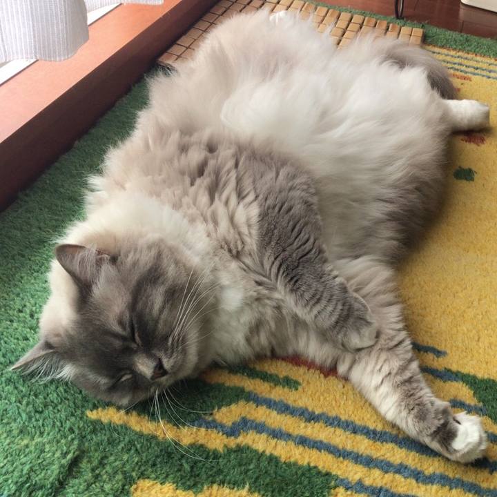 058b910d 1e91 4265 8e91 ceccfae9da53 1522707775408