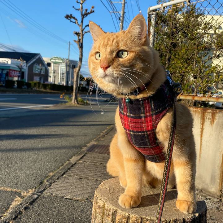 058bd510 c3f3 43a0 a59e 524f5e8b956f 1636884120166